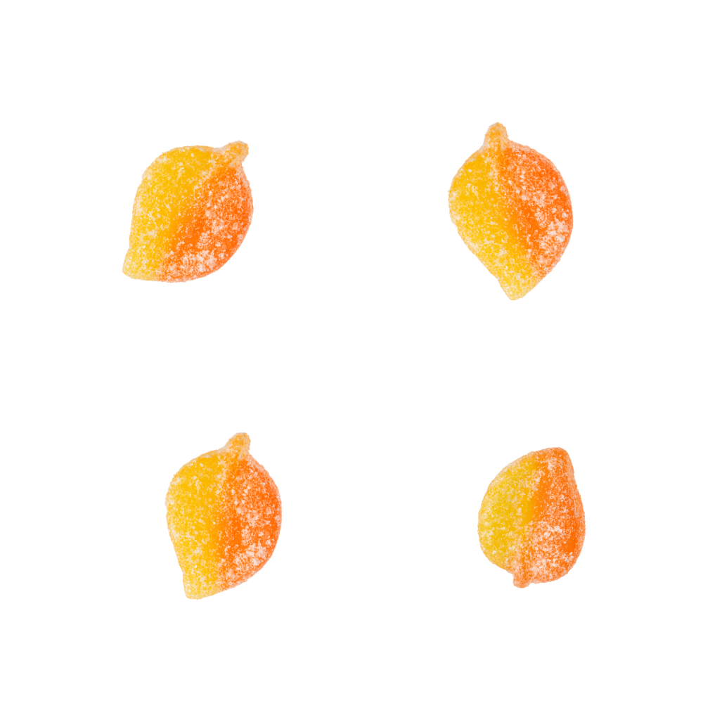 GOURMET FRUITY GUMMIES BUNDLE